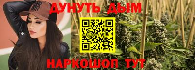 индика Кулебаки