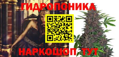 индика Кулебаки