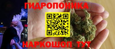 индика Кулебаки