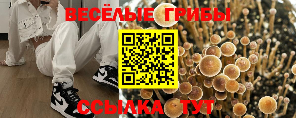 Галлюциногенные грибы Psilocybine cubensis  Псилоцибиновые грибы Psilocybe  Вход с VPN  Унеча 